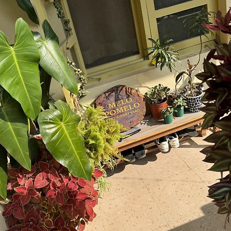 דירות קטמנדו The Melo Pomelo Courtyard. מראה חיצוני תמונה